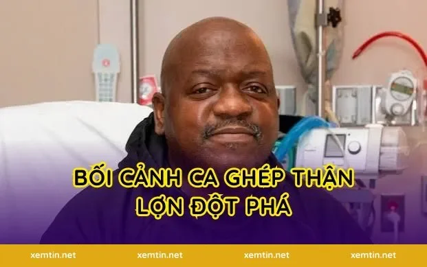 Bối cảnh ca ghép thận lợn đột phá