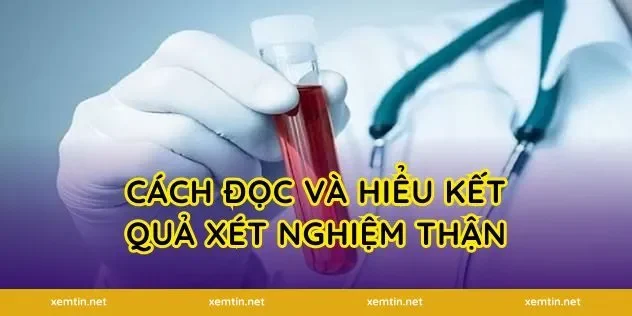 Cách đọc và hiểu kết quả xét nghiệm thận