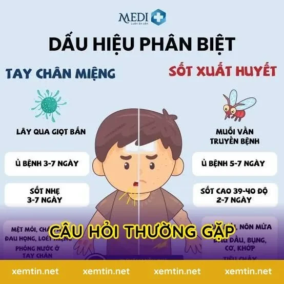 Câu Hỏi Thường Gặp