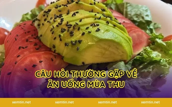 Câu Hỏi Thường Gặp Về Ăn Uống Mùa Thu