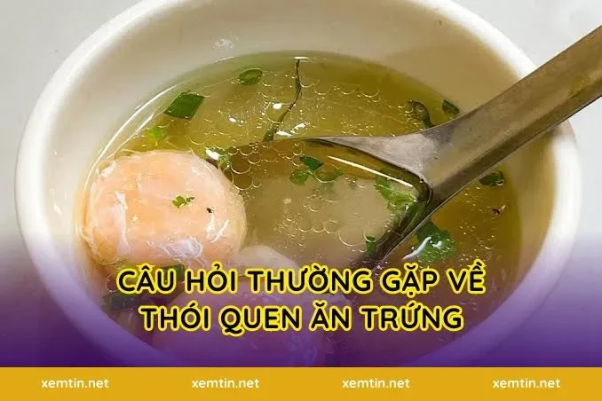 Câu hỏi thường gặp về thói quen ăn trứng