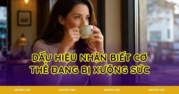 Dấu hiệu nhận biết cơ thể đang bị xuống sức