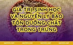 Giá trị sinh học và nguyên lý bảo tồn dưỡng chất trong trứng