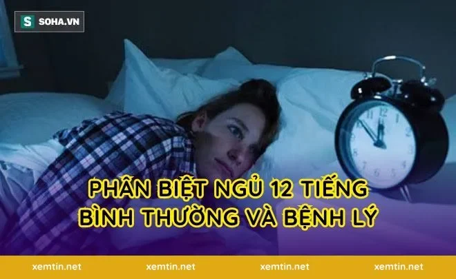 Phân biệt ngủ 12 tiếng bình thường và bệnh lý
