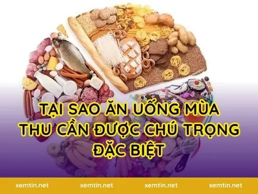 Tại Sao Ăn Uống Mùa Thu Cần Được Chú Trọng Đặc Biệt