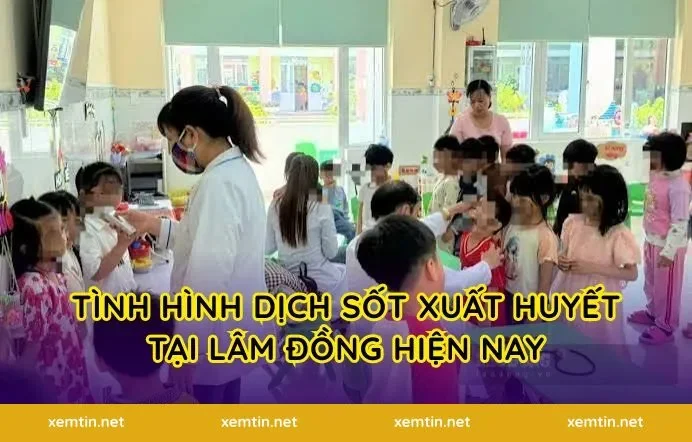 Tình Hình Dịch Sốt Xuất Huyết Tại Lâm Đồng Hiện Nay