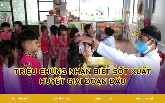 Triệu Chứng Nhận Biết Sốt Xuất Huyết Giai Đoạn Đầu