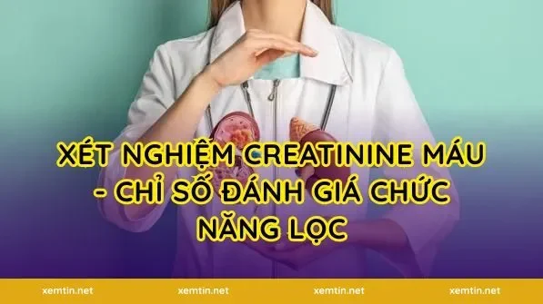 Xét nghiệm creatinine máu - Chỉ số đánh giá chức năng lọc