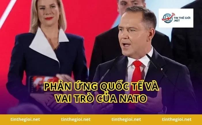 Phản ứng quốc tế và vai trò của NATO